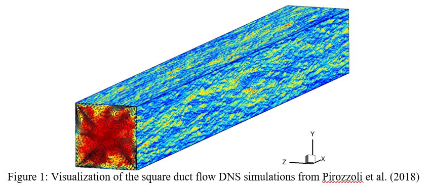 Visualization of square duct flow DNS